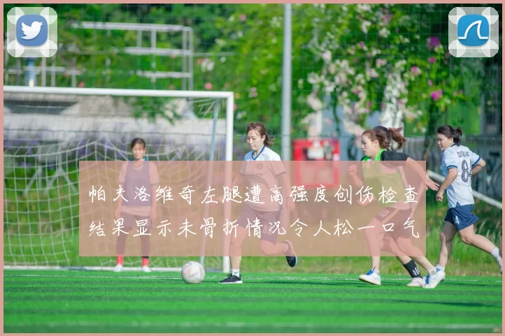 帕夫洛维奇左腿遭高强度创伤检查结果显示未骨折情况令人松一口气